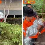 Viral! Balita 1 Tahun Alami Hipotermia Saat Diajak Mendaki Gunung Ungaran