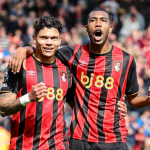 Bournemouth vs Crystal Palace 3-0 The Cherries Menang Telak