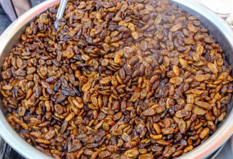 Mengenal Beondegi, Makanan Tradisional Korea yang Kaya Protein